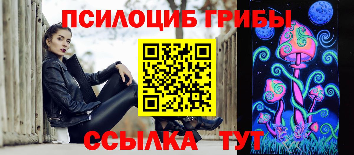 Кимовск  Псилоцибиновые грибы прущие грибы  Вход с VPN 